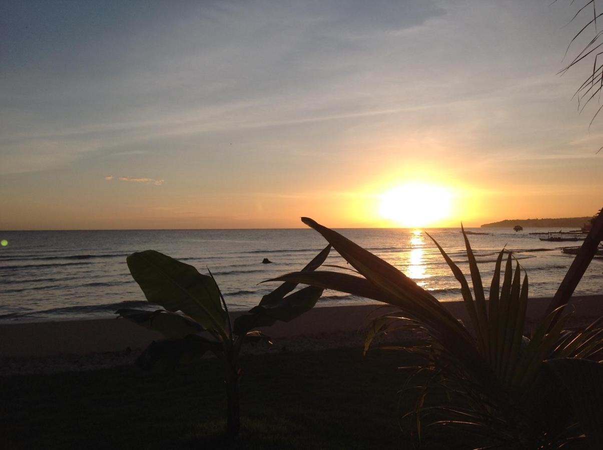 Bamboobeachvilla1 Ac New Oceanfront Pool Sunsetview Garden Kitchen Satellite Starlink Wi-Fi Dimiao ภายนอก รูปภาพ