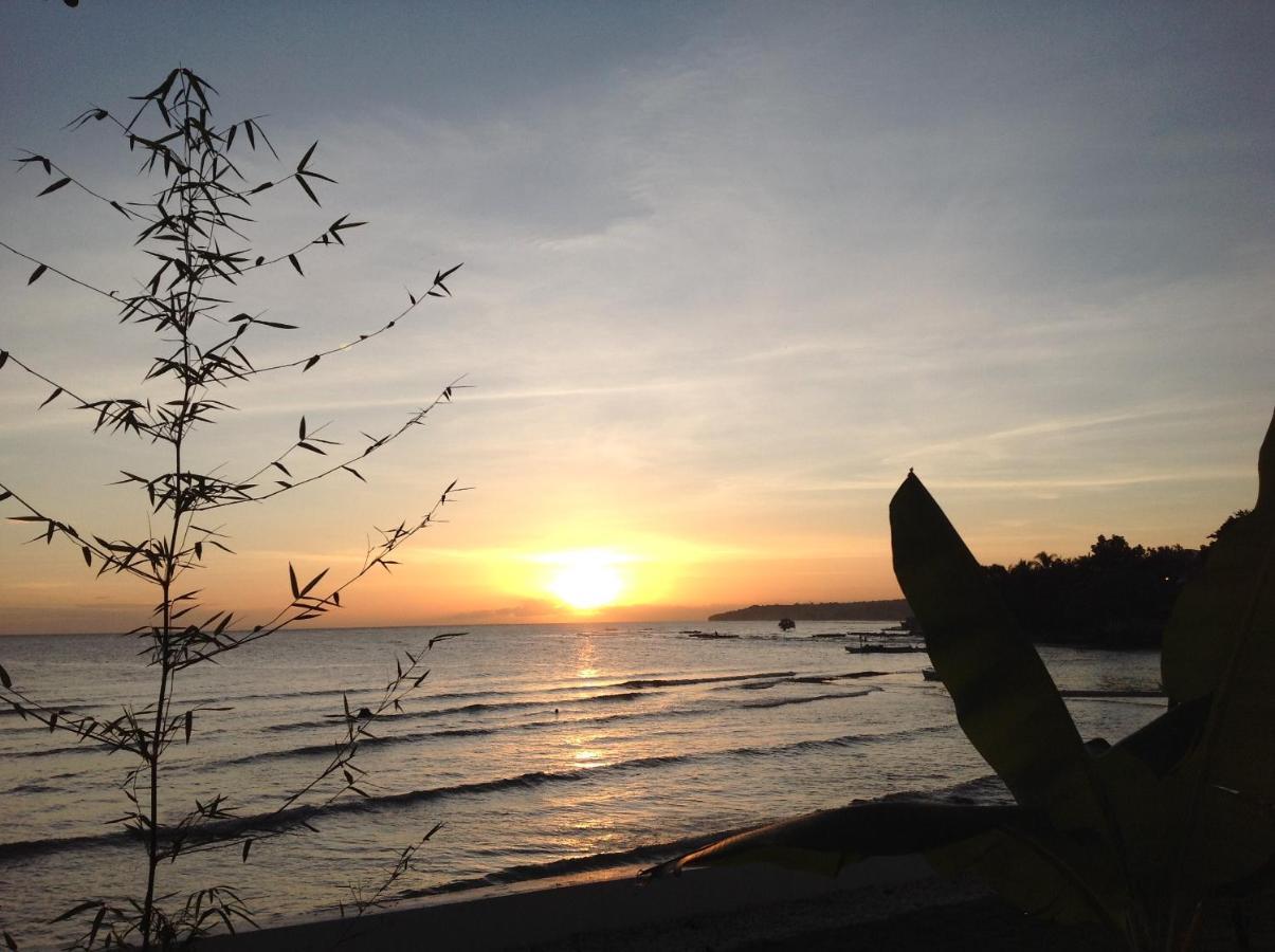 Bamboobeachvilla1 Ac New Oceanfront Pool Sunsetview Garden Kitchen Satellite Starlink Wi-Fi Dimiao ภายนอก รูปภาพ
